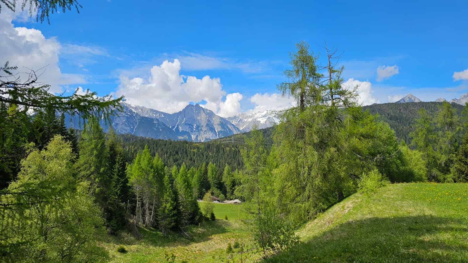 Thumbnail 25